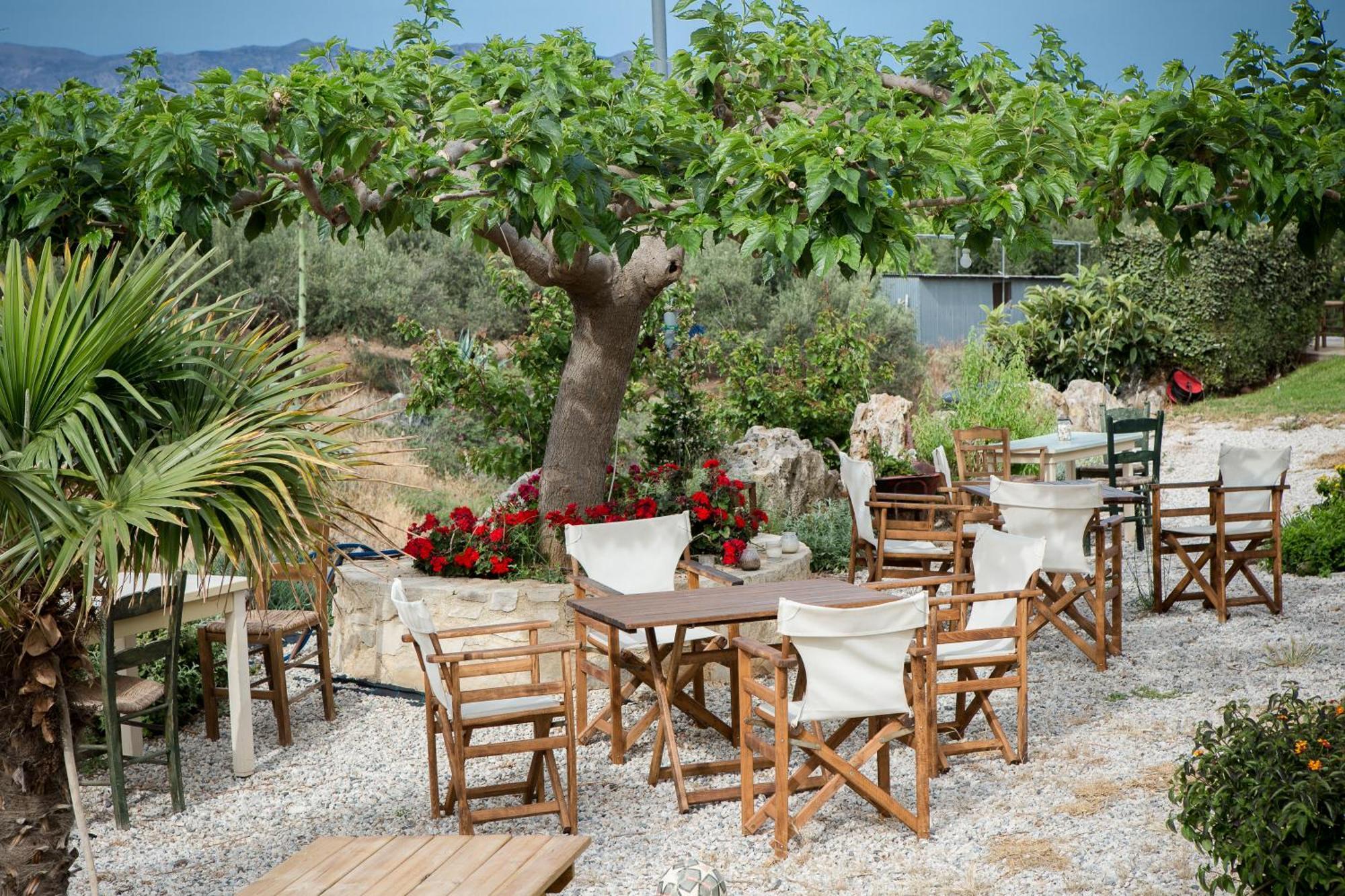 Agarathos Traditional Rooms - Pool - Kaliviani -On The Road To Balos Esterno foto